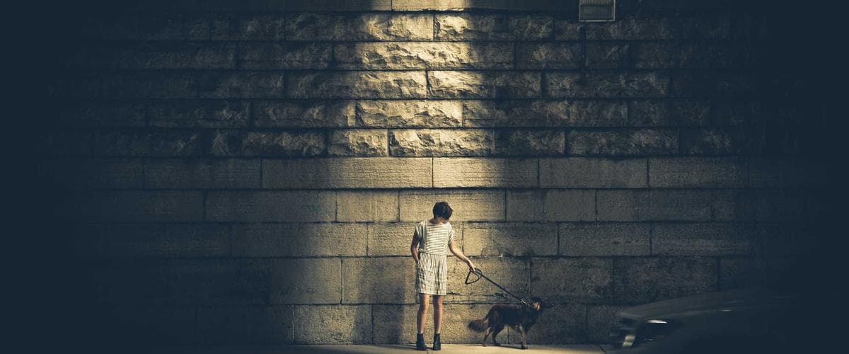 Plateforme web de gestion des formations - ANATT