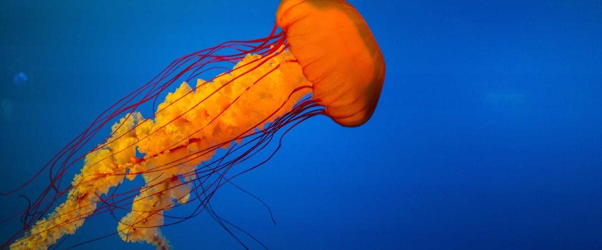 Cybersécurité : sensibilisation et bonnes pratiques