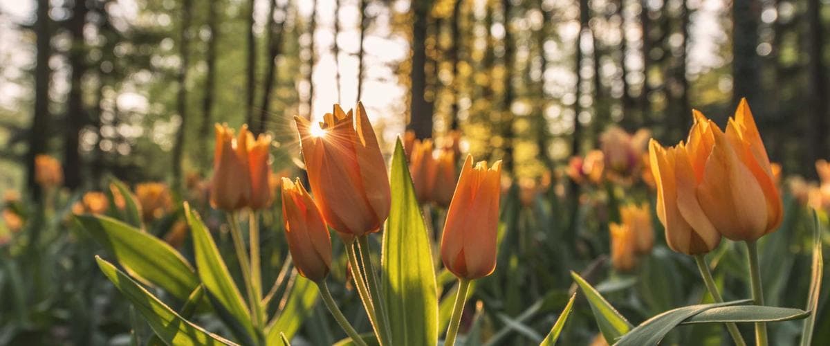 EASY ITEAM renforce son offre cybersécurité